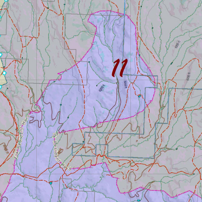 CO Unit 11 Elk Concentrations and Migration Preview 2