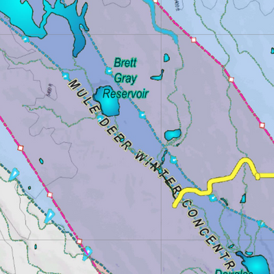 CO Unit 119 Mule Deer Concentrations Preview 3