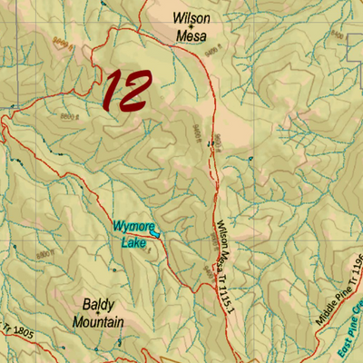 CO Unit 12 Elk Concentrations and Migration Preview 2