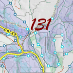 CO Unit 131 Elk Concentrations and Migration Preview 2