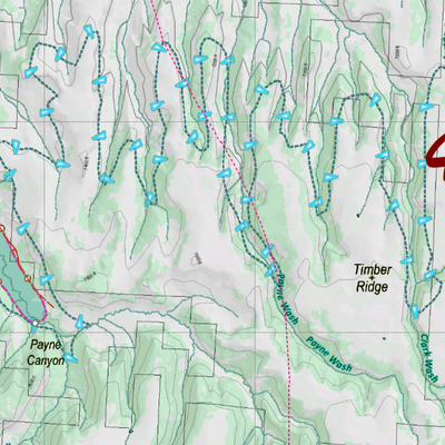 CO Unit 40 Mule Deer Concentrations Preview 2