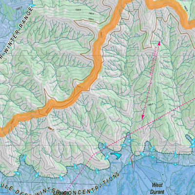 CO Unit 42 Mule Deer Concentrations Preview 3