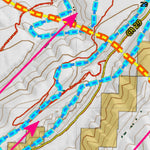 Colorado HuntData LLC Colorado_131_Landownership_and_Elk_and_Mule_Deer_Concentration digital map