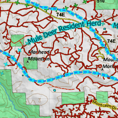 Colorado HuntData LLC Colorado_191_Landownership_and_Elk_and_Mule_Deer_Concentration digital map