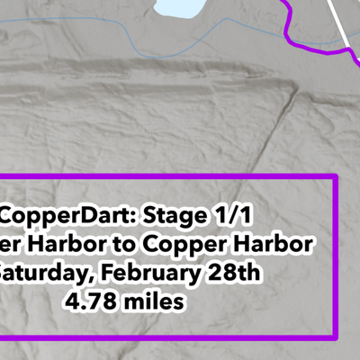 2026 CopperDog Dart Preview 3