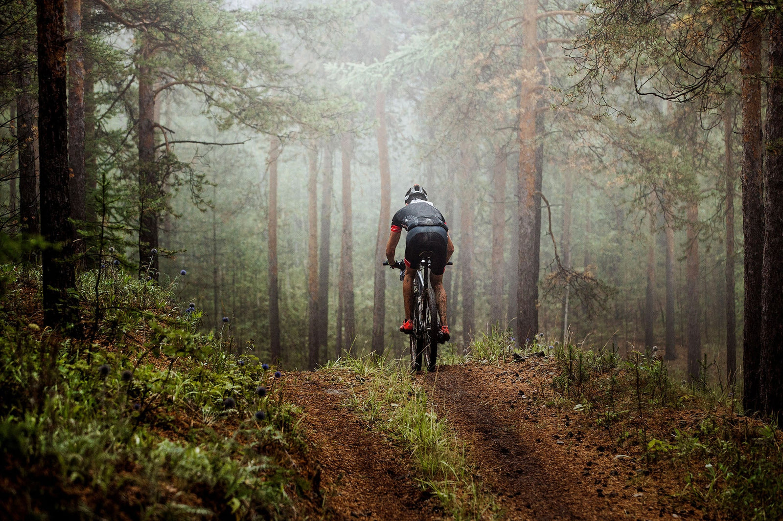 Man cycling through the woods