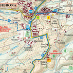 D.R.E.Am. Italia Bibbona Carta turistica ed Itinerari Escursionistici digital map