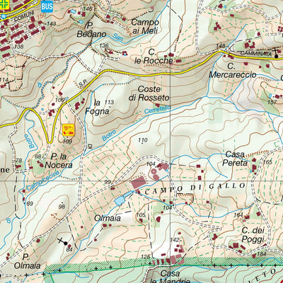 D.R.E.Am. Italia Bibbona Carta turistica ed Itinerari Escursionistici digital map