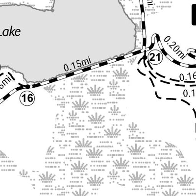 Whitetail Woods Regional Park - Summer Preview 3