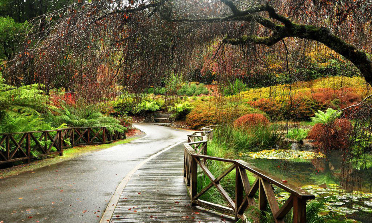 Dandenong Ranges