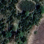 Acton WMA Preview 3