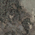 Adolf Elseth Memorial WMA Preview 2