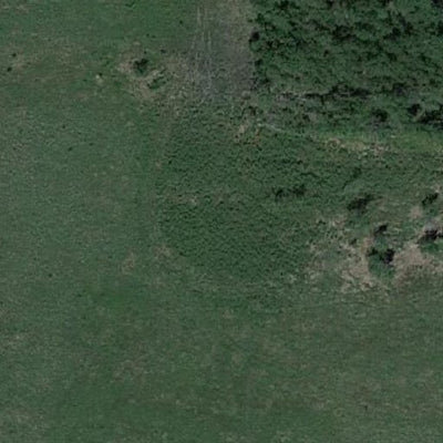 Albin WMA Preview 2
