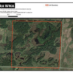 Almora WMA Preview 1