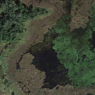 Almora WMA Preview 2