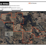 Aurora WMA Preview 1