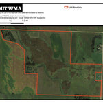 Bail Out WMA Preview 1