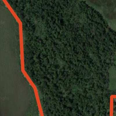 Baker's Lake WMA Preview 3