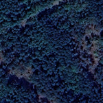 Beaches Lake WMA - North Central Unit Preview 2