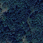 Beaches Lake WMA - North Unit Preview 2