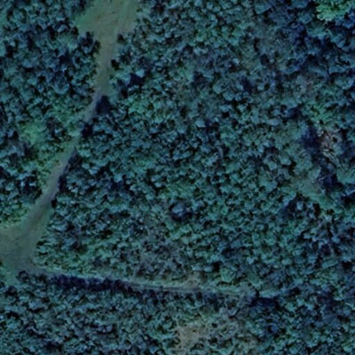 Beaches Lake WMA - North Unit Preview 3