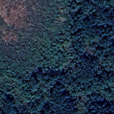 Beaches Lake WMA - North West Unit Preview 2
