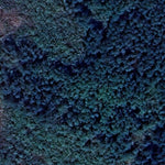 Beaches Lake WMA - North West Unit Preview 3