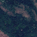 Beaches Lake WMA - South Unit Preview 2