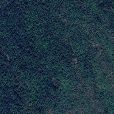 Beaches Lake WMA - South Unit Preview 3