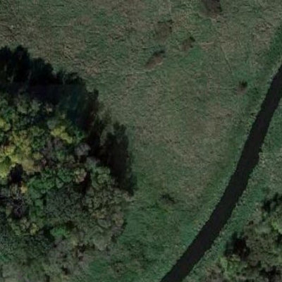 Bear WMA Preview 2