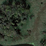 Bear WMA Preview 3