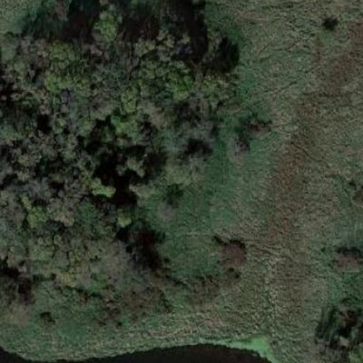 Bear WMA Preview 3