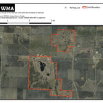 Bejou WMA Preview 1