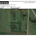 Bergman WMA Preview 1