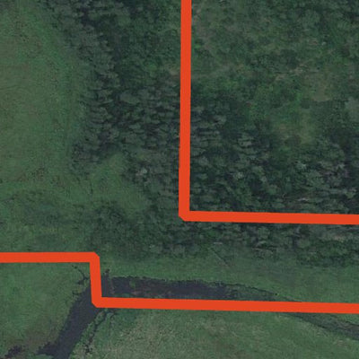 Birch Creek WMA Preview 2