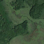 Birchdale WMA Preview 2