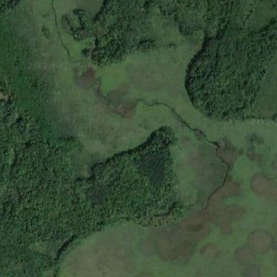 Birchdale WMA Preview 2