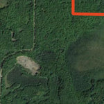 Birchdale WMA Preview 3