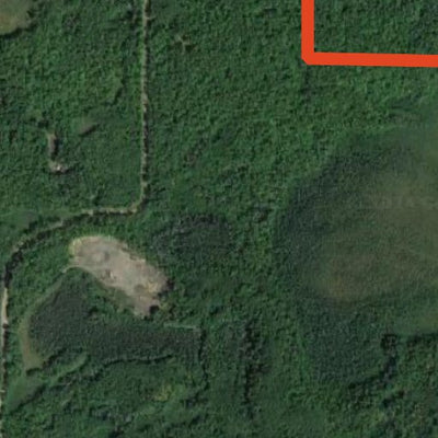 Birchdale WMA Preview 3
