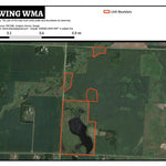 Blue Wing WMA Preview 1