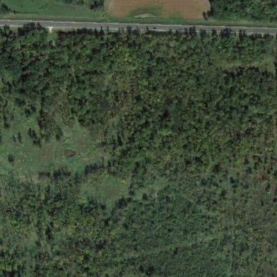 Bluff Creek WMA Preview 3