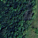 Boekholt Grove WMA Preview 2