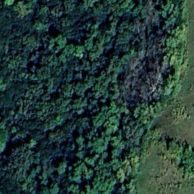 Boekholt Grove WMA Preview 2
