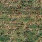 Boekholt Grove WMA Preview 3