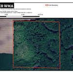 Bolger WMA Preview 1