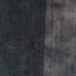 Boon Lake WMA - Northwest Unit Preview 2