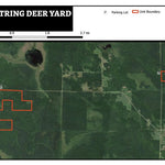 Bowstring Deer Yard WMA Preview 1