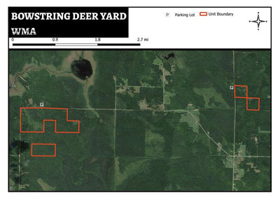 Bowstring Deer Yard WMA Preview 1