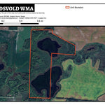 Brandsvold WMA Preview 1