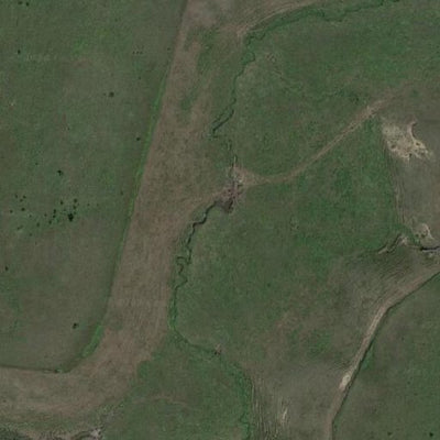 Bue-tiful Acres WMA Preview 2